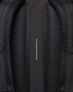 Forest Hike